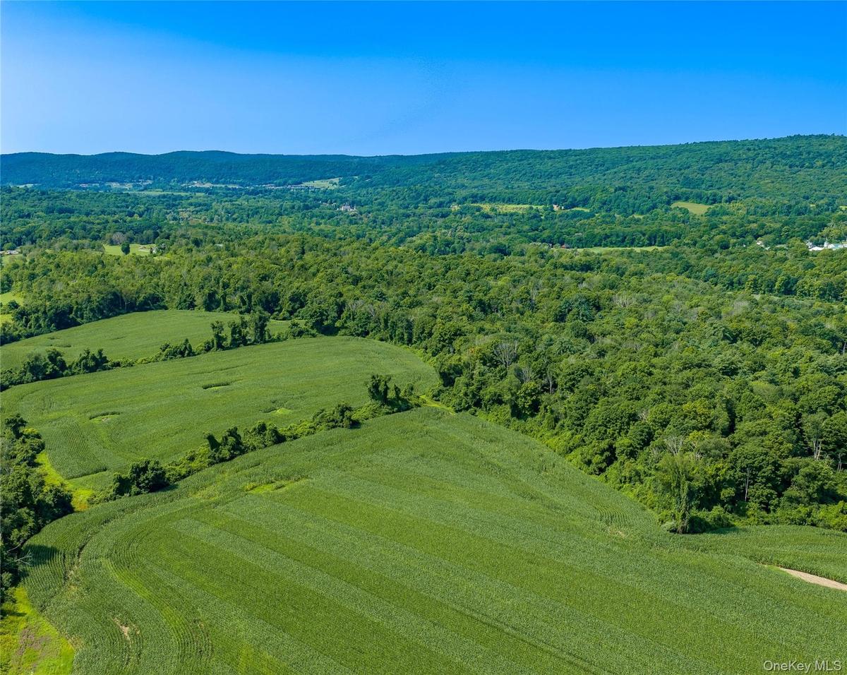 Three south fields, approximately 45 acres cleared, looking southwest.