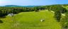 Established working horse farm featuring approximately 14 cleared acres.