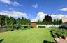 Lg manicured yard
