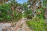Doubloon Trail