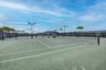 Multiple tennis courts featuring green surfacing and white line markings