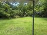 Expansive grassy yard area with mature trees and foliage bordering the perimeter