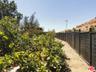 fenced yard