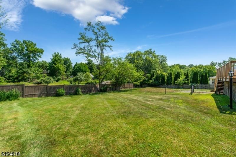 Rear Yard