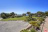 Lush Grounds