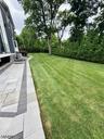 Lush Green Grass
