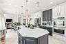 U[dated Kitchen and High End Appliances