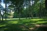 Spring Tree Farm