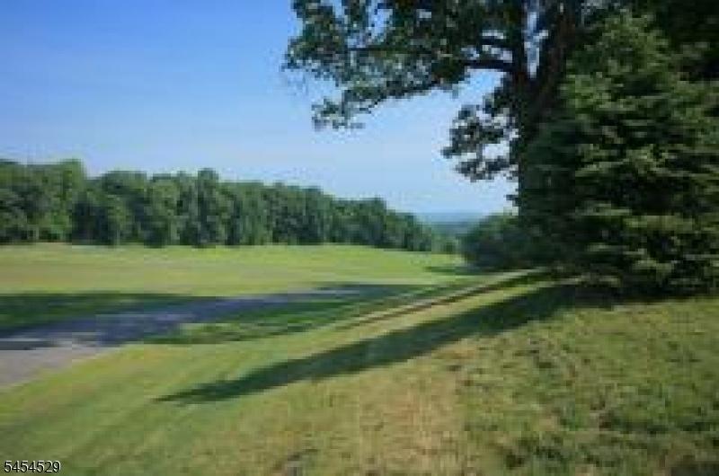 Spring Tree Farm