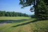 Spring Tree Farm