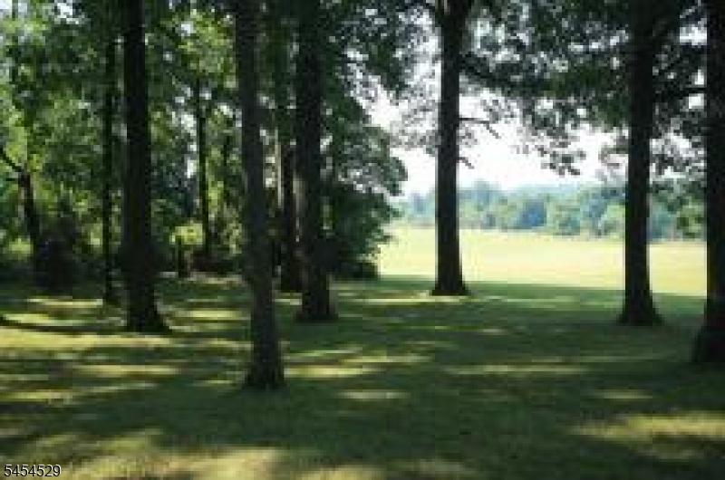 Spring Tree Farm