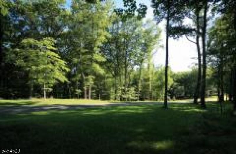 Spring Tree Farm
