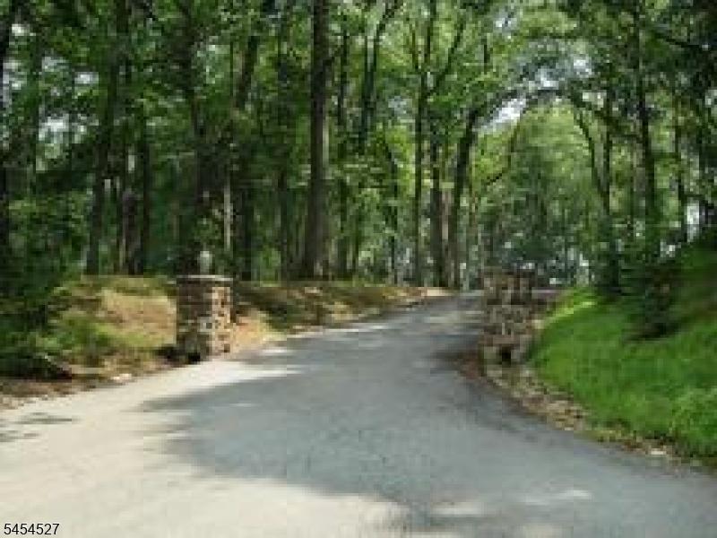 Spring Tree Farm