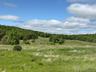 View of woods with a view of rural / pastoral area