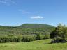 View of mountain backdrop featuring a heavily wooded area