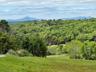 View of mountain background with a heavily wooded area