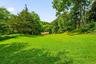 Expansive backyard with open lawn and mature trees.