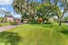 Front Lawn with Mature Oaks