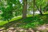 Wooded backyard with mature trees and open lawn.