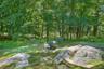 Rock outcroppings