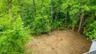 Aerial view clearing