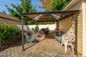 Back yard 3