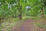 Walking Trail