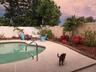 Pool area with vynal fenced yard and mature landscaping and flowering bushes