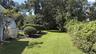Expansive grass lawn with mature trees and established shrubbery