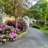 Spring view