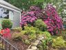 Front garden