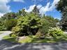 Welcome to Peach Court.  Center island with mature plantings offers privacy.