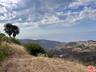 Land View