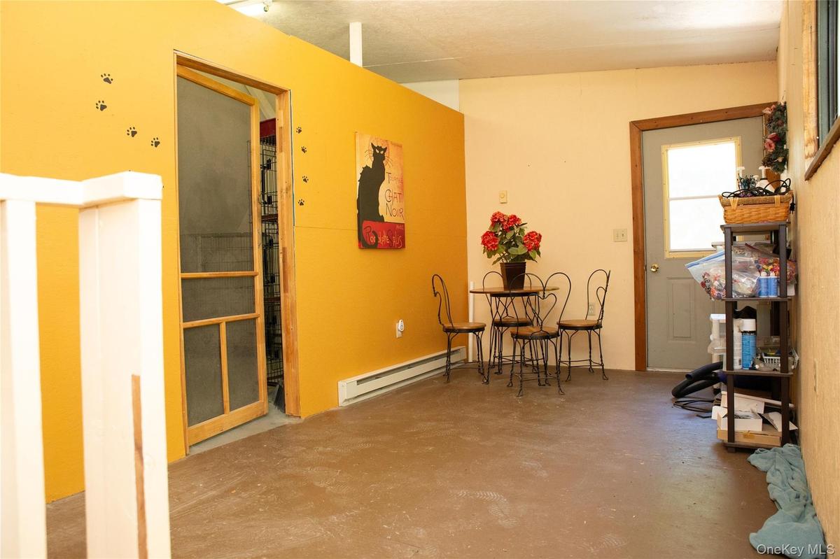 Cat room & lounge area