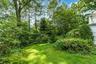 Backyard with Plantings