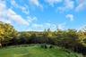 Expansive lawn with a built-in fire pit, surrounded by mature trees and natural landscaping