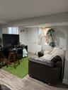 Basement family room