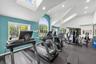 Clubhouse Gym