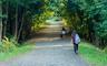 Old Croton Aqueduct Trail