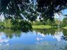 Tranquil sitting bench on other side of the lake