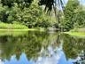 Bass and talapia are caught here, or just sit and take in nature