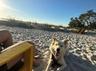 THE BEACH AT THE BAY PARK NEXT DOOR