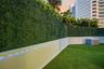 Privacy Hedges Surround The Back and Side Yards