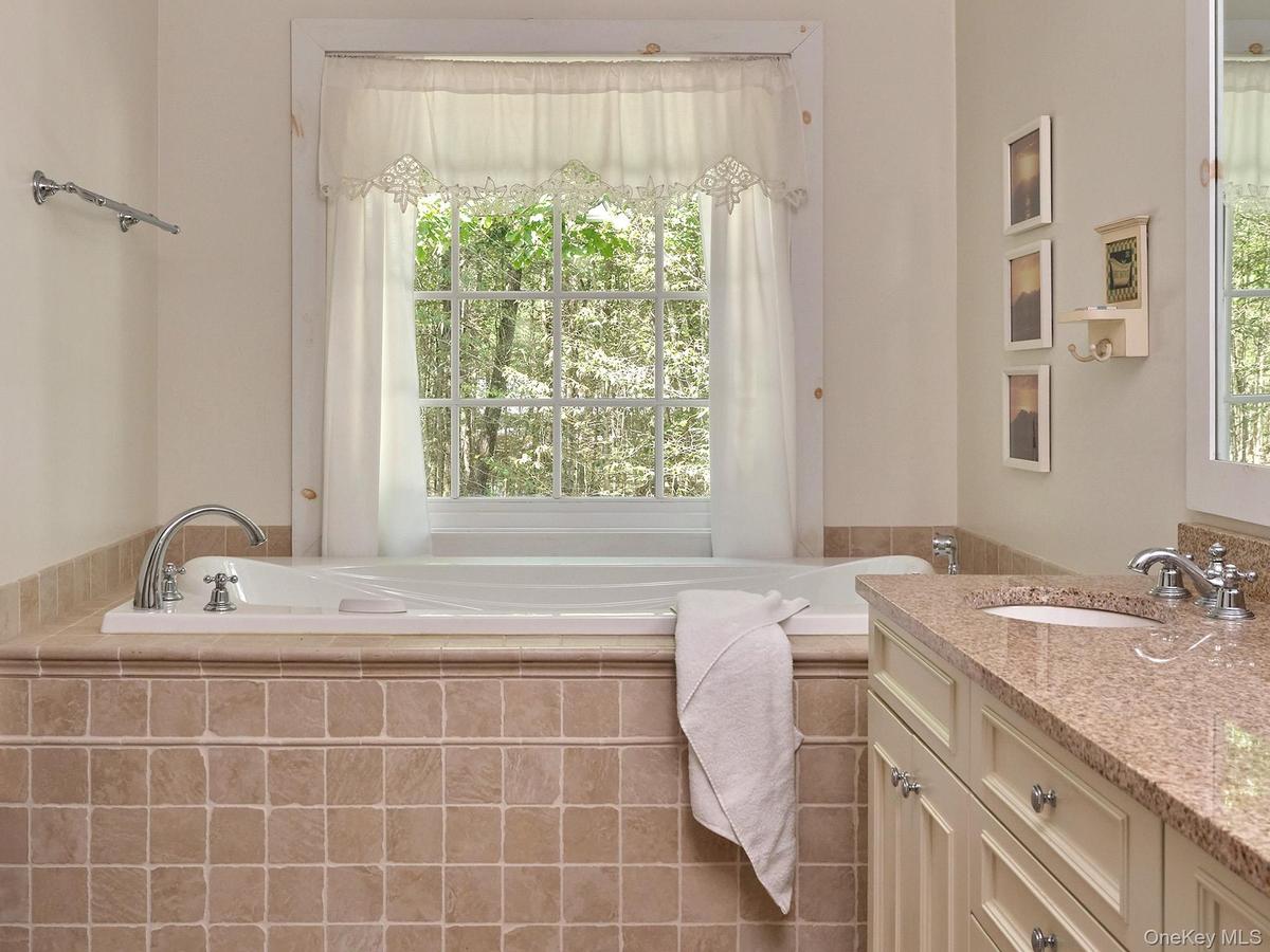 Full bath with vanity, a garden tub, and plenty of natural light