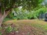 Deep backyard with lots of greenery