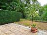 Large Patio and yard