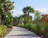 walking path