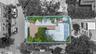 Birds Eye