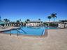 Ready to swim?