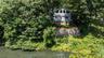 View from the Lake